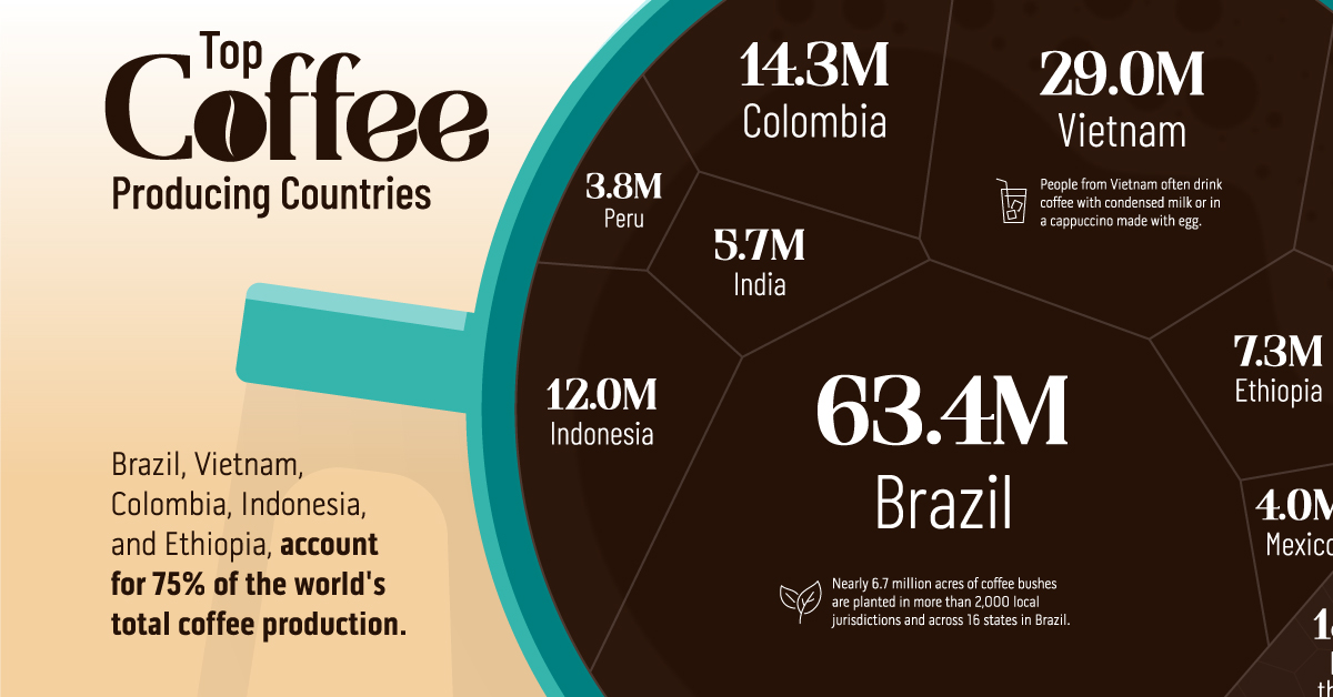 voronoi of the top coffee producing countries by exports
