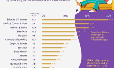 Charted  Visualizing the Top Struggles of Remote Workers - 51