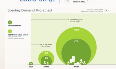 Carbon Credits