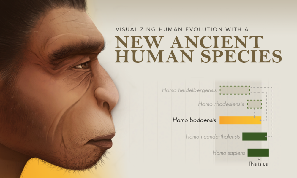 A New Species in Human Evolution