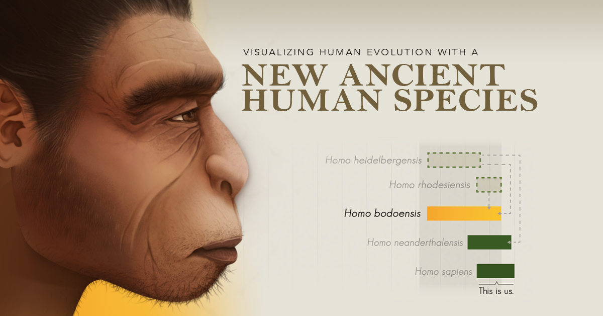 A New Species in Human Evolution