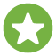 green star icon