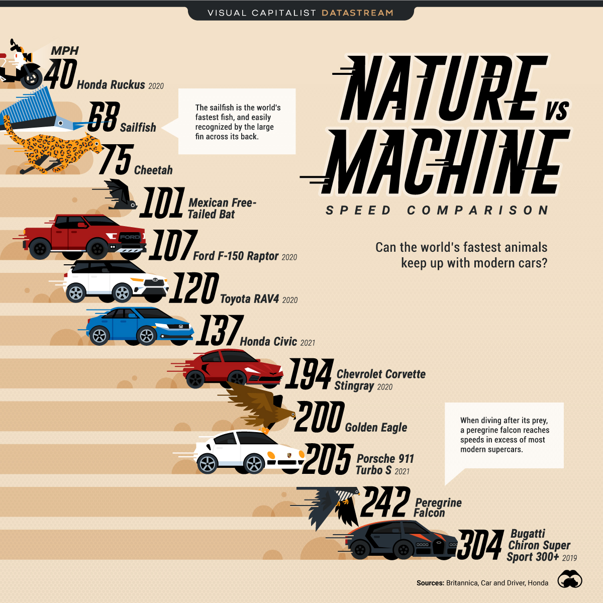 What's Faster, Nature or Machine?