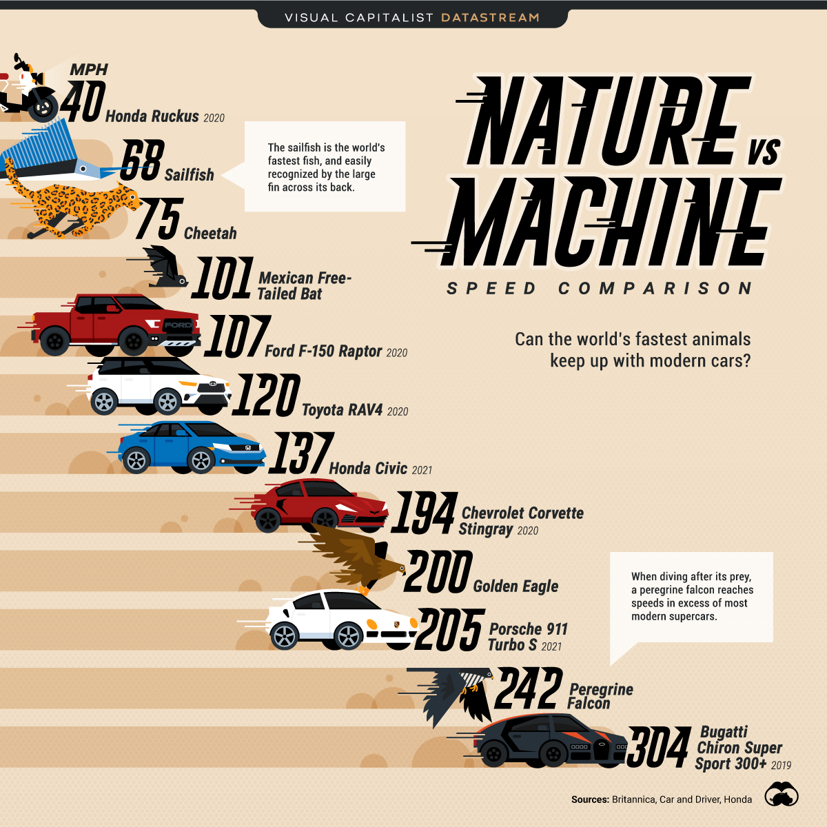 Rummelig Strengt krave What's Faster, Nature or Machine? - Visual Capitalist