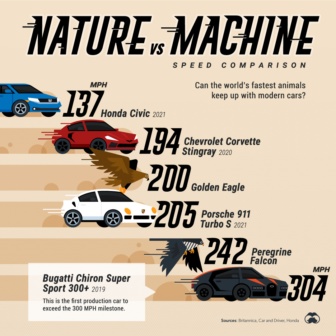 Rummelig Strengt krave What's Faster, Nature or Machine? - Visual Capitalist