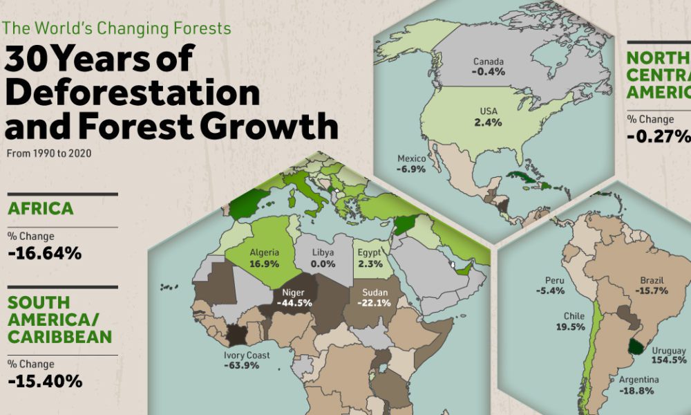 Deforestation in the  has dropped 34%, reversing trend under