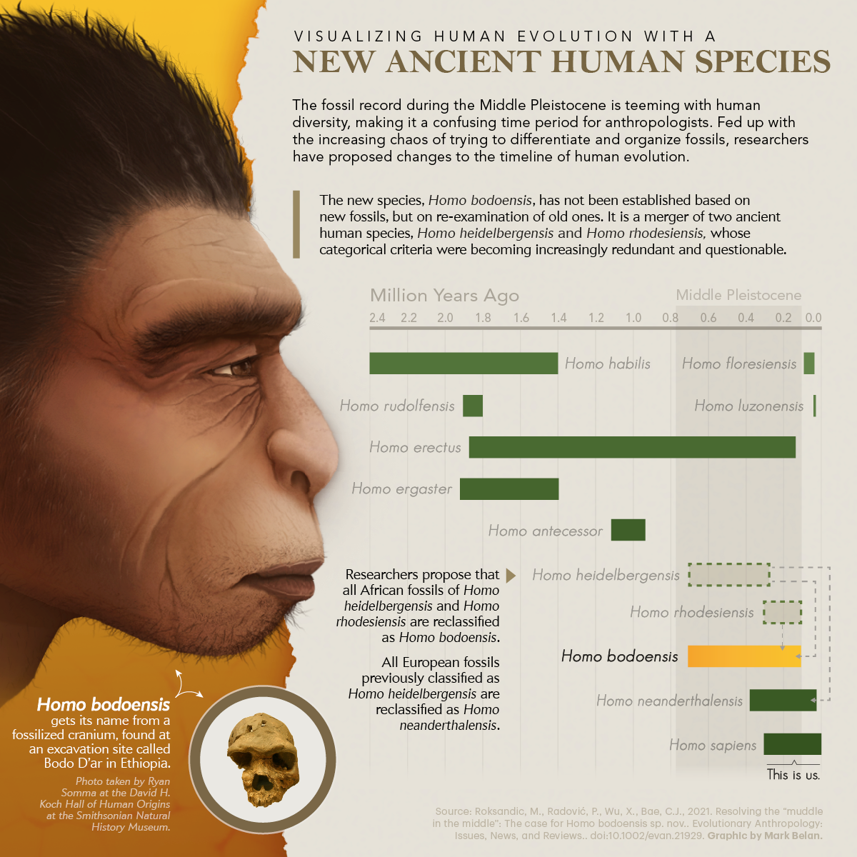 visualizing human evolution