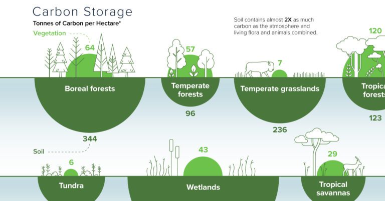 Carbon Storage