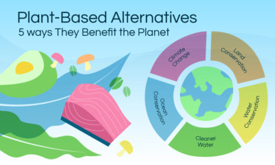 Visualizing the benefits of plant-based alternatives.