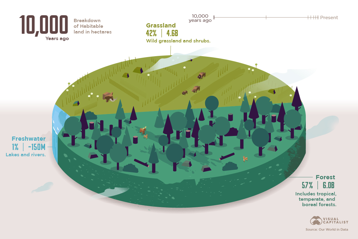 The World’s Loss of Forests 10,000