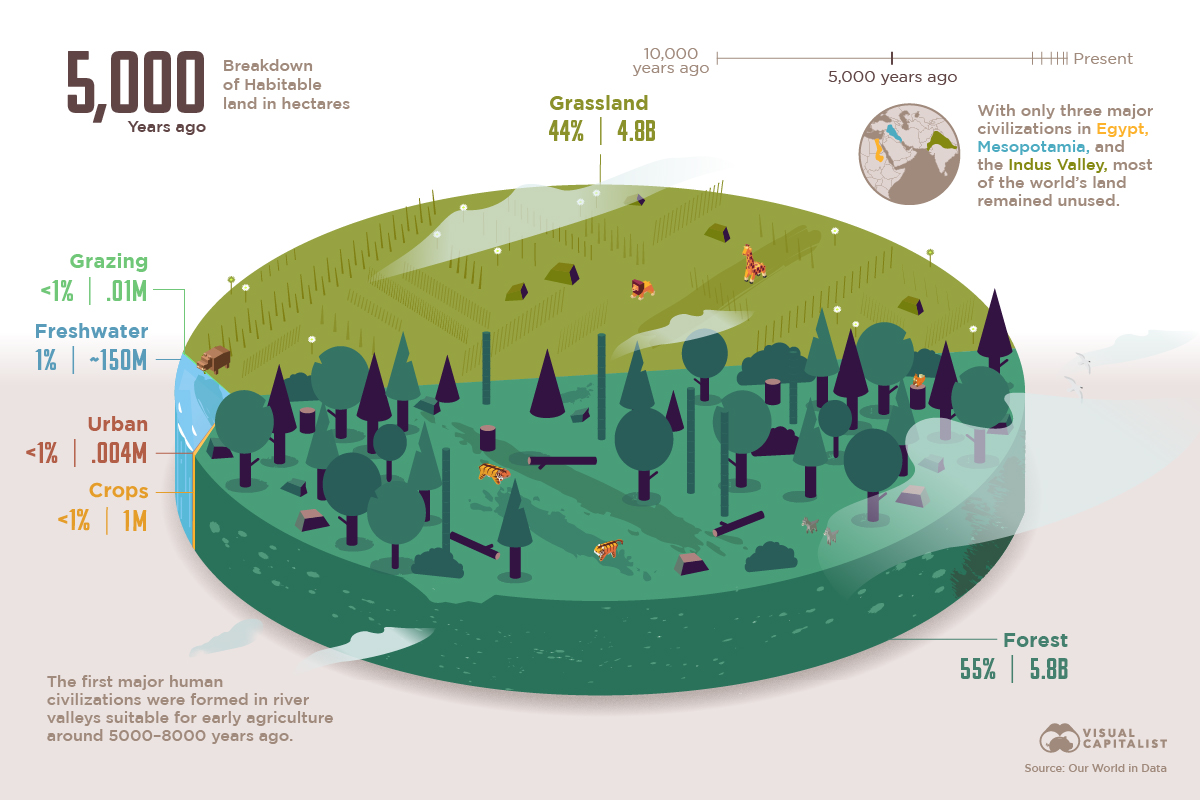 The World’s Loss of Forests 5,000