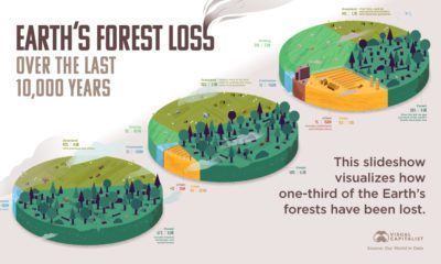 The World’s Loss of Forests Shareable