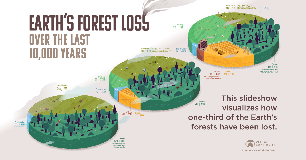 The World’s Loss of Forests Shareable