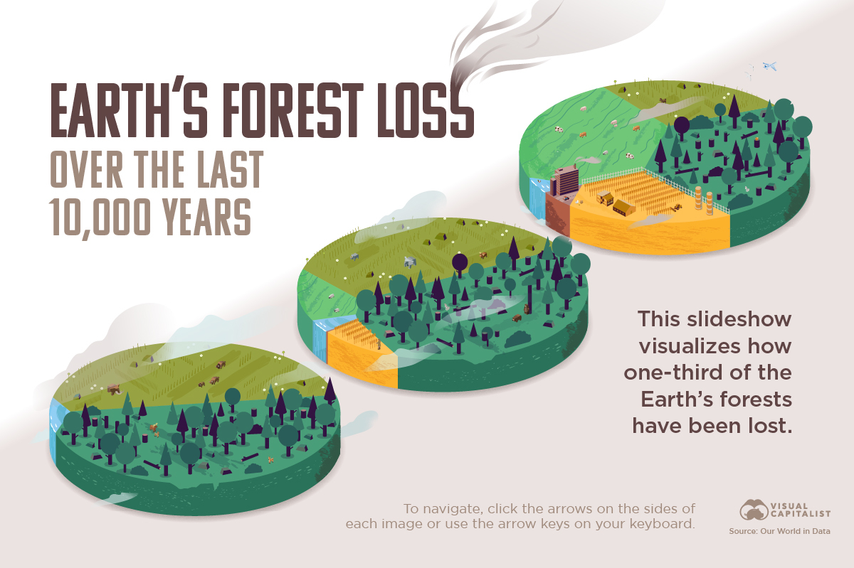 The World’s Loss of Forests Title