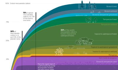 irrecoverable carbon