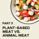 Plant-based meat vs. animal meat Part 3 of 6