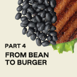  From bean to burger 4 of 6