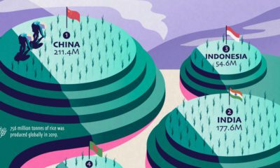 Visualizing The World’s Biggest Rice Producers Share