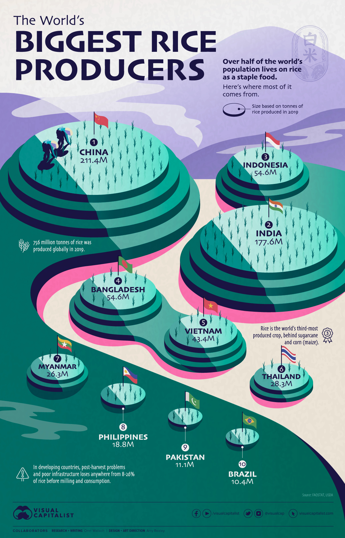 Visualizing The World’s Biggest Rice Producers