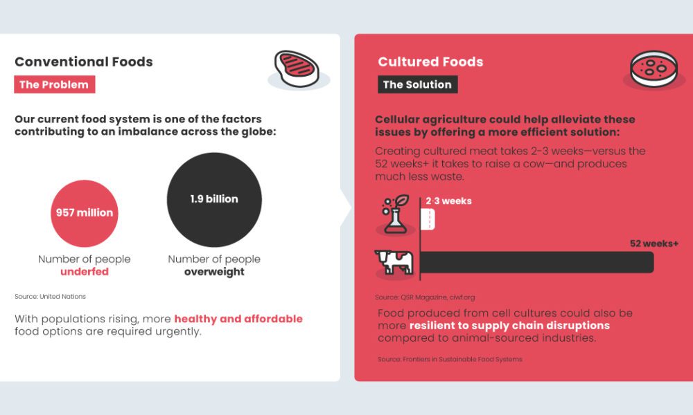 cultured foods Archives - Visual Capitalist