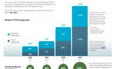 climate risk reporting infographic