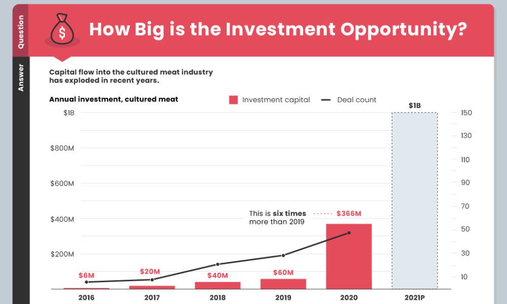Infographic See Every Single Part Inside an iPhone