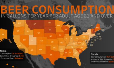 Mapped Beer Consumption in the U.S. Social