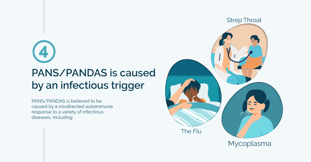 What to Know about Pans and Pandas