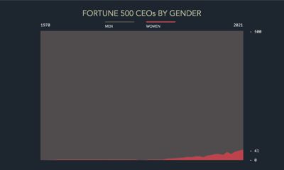 Where's the Diversity in Corporate America?