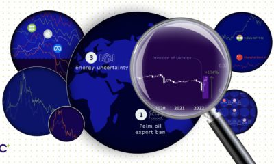 Markets this month