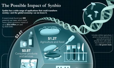 How Genetically Similar Are Humans To Other Life Forms  - 69
