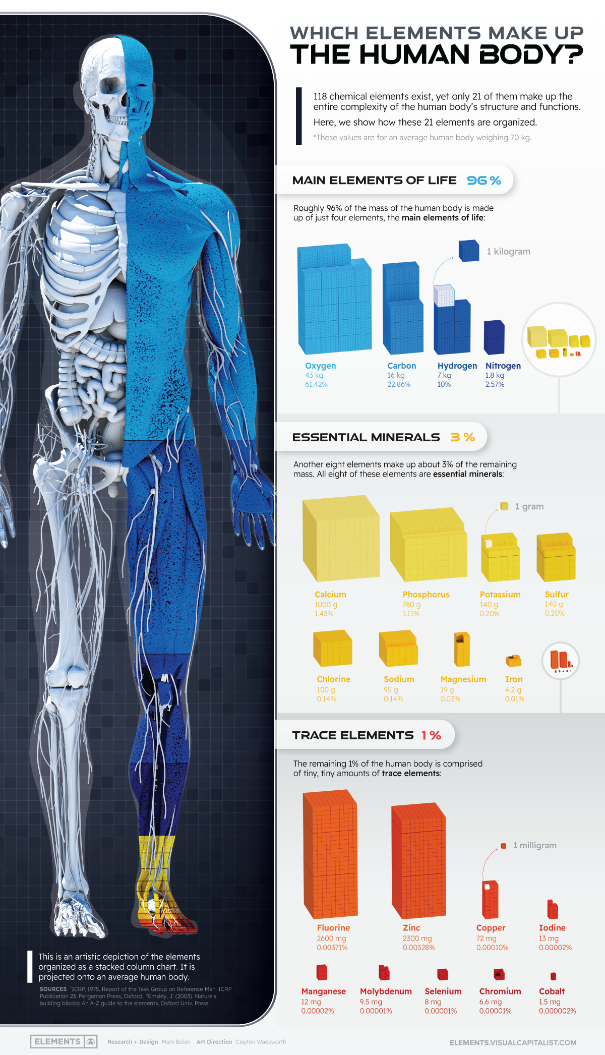 name three important compounds in the body