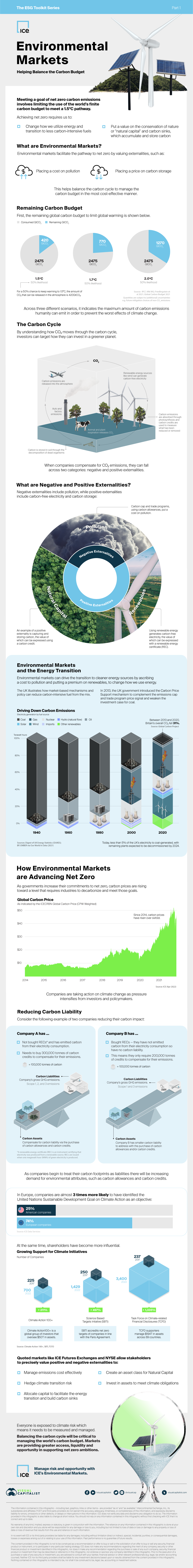 How Environmental Markets are Advancing Net Zero