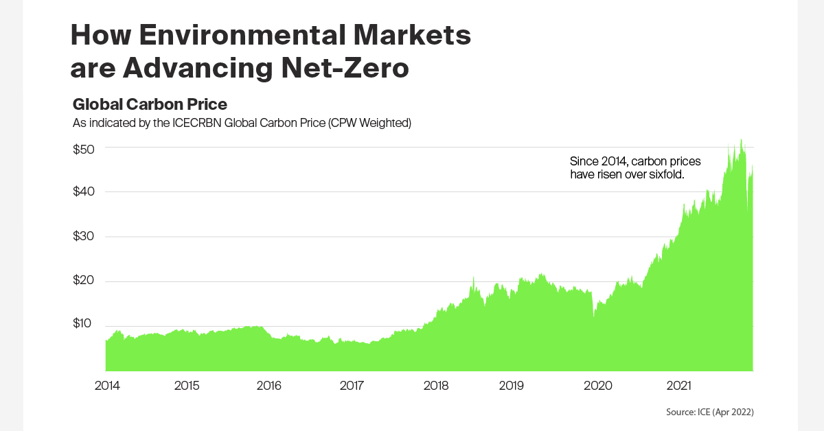 How Environmental Markets Advance Net Zero
