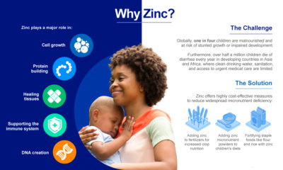 Teck_Zinc-The-Essential-Micronutrient