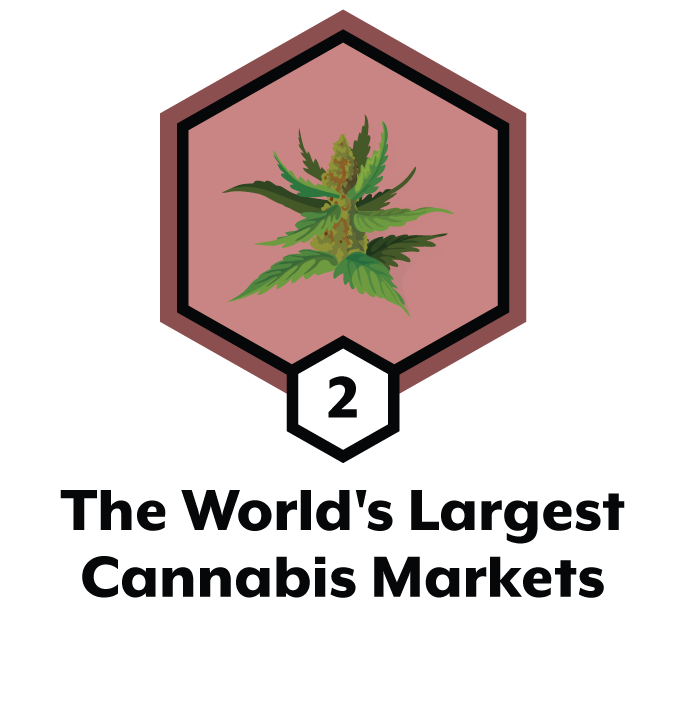 世界上最大的大麻市场第 2 部分，共 5 部分