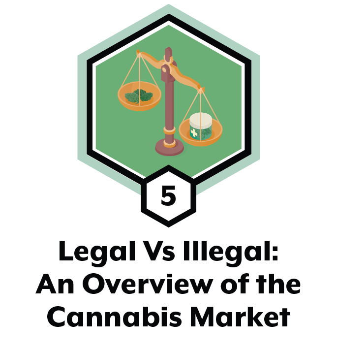 Legal vs. Illegal: an overview of the cannabis market Part 5 of 5