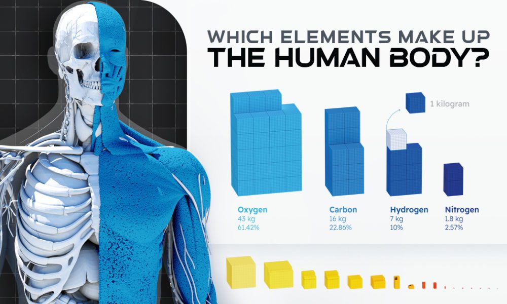 What Chemical Elements Make up the Human Body?