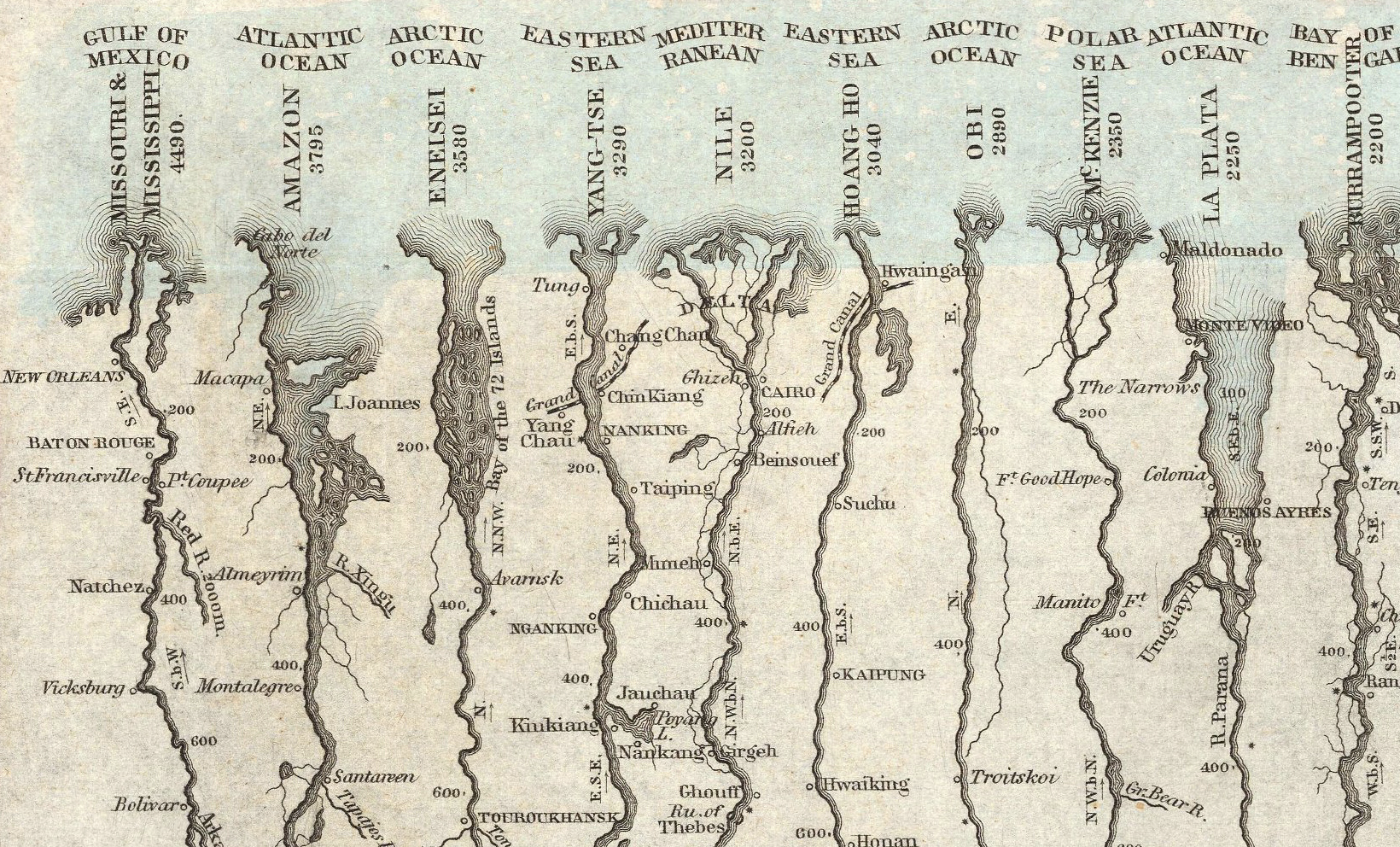 detailed view of longest rivers visualization