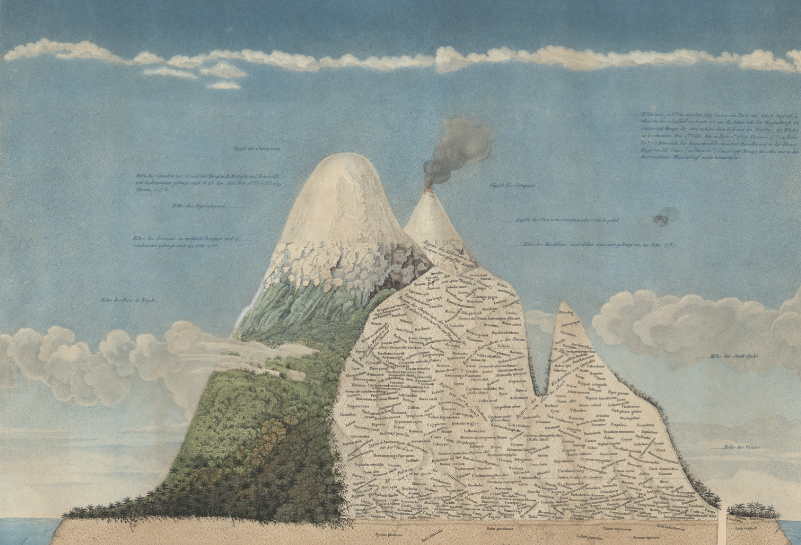 Alexander von Humboldt mountain diagram