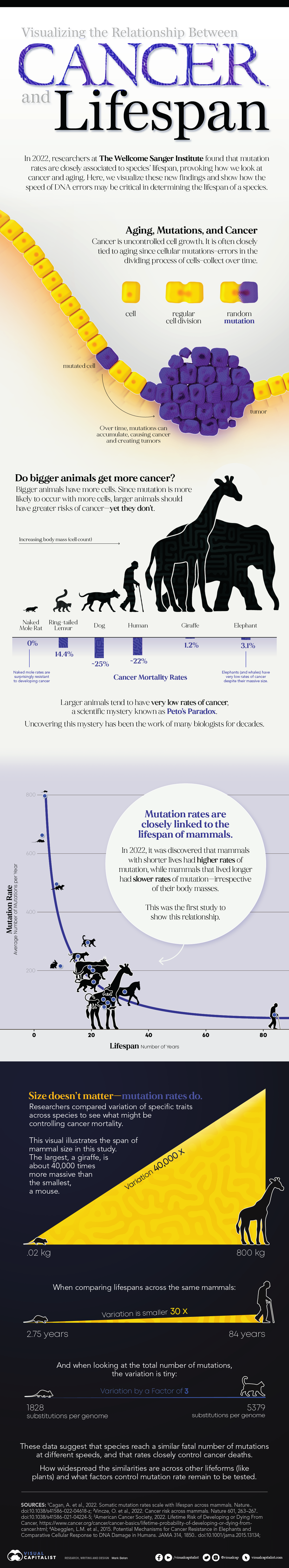 Visualizing the Relationship Between Cancer and Lifespan