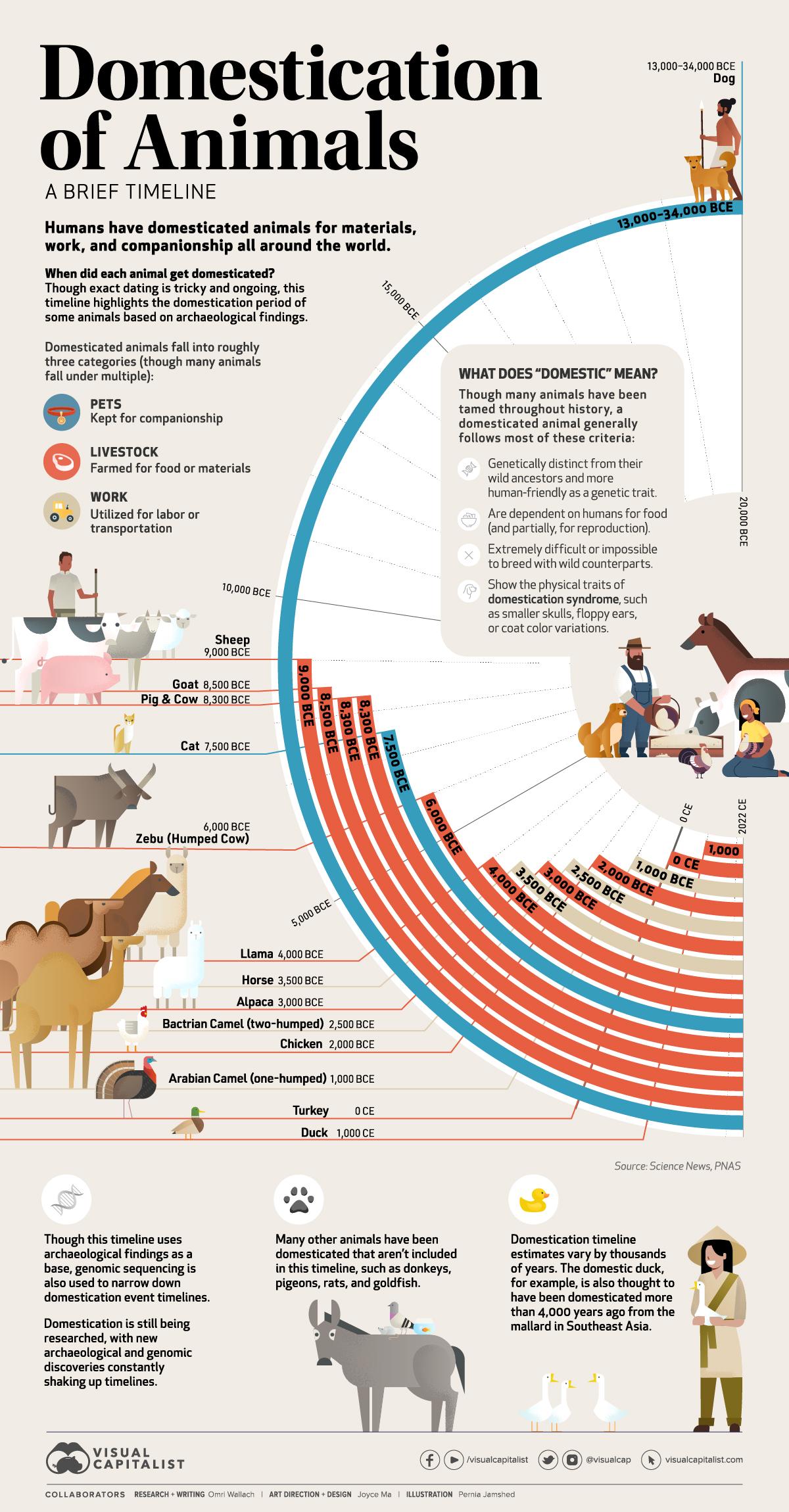 Timeline of the domestication of animals