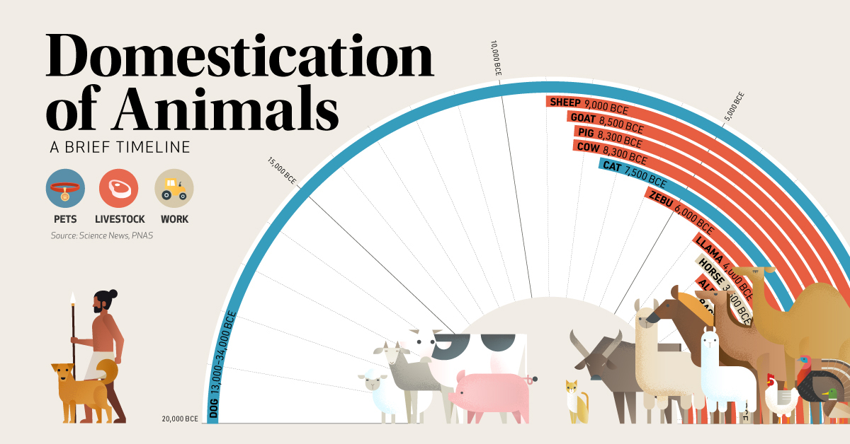 Timeline: The Domestication of Animals