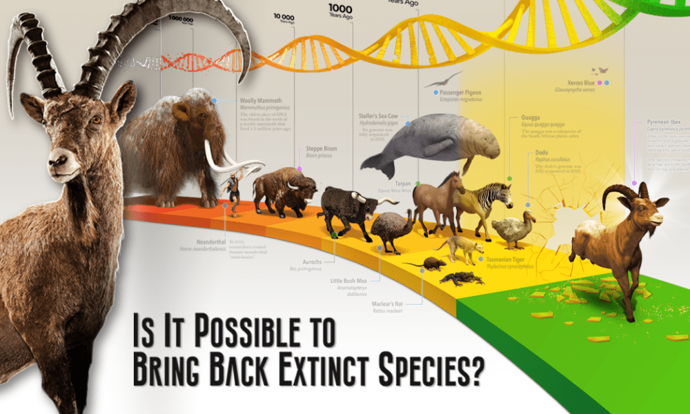 Is It Possible To Bring Back Extinct Animal Species 