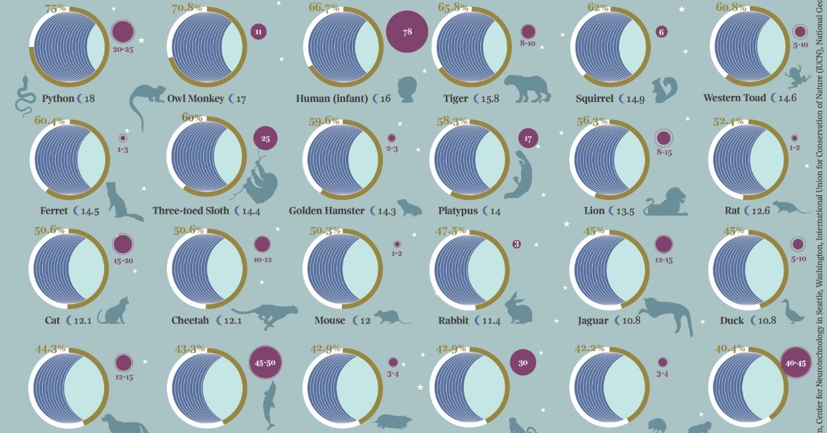 Average sleep times for 40 different animals