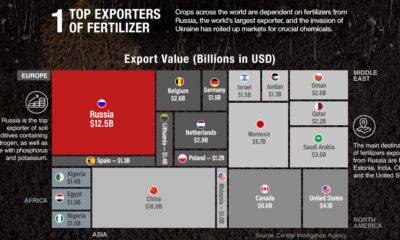 The Sprouting Market for Manganese Fertilizers in Brazil   Visual Capitalist - 24