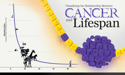 Cancer and lifespan