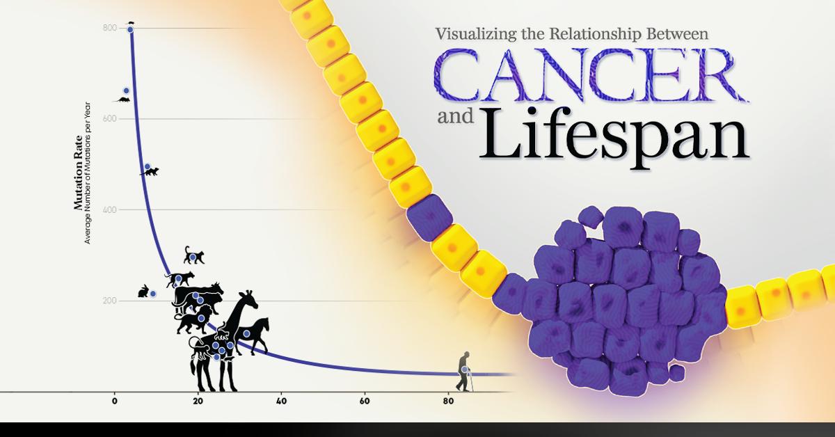 Visualizing the Relationship Between Cancer and Lifespan - Visual Capitalist