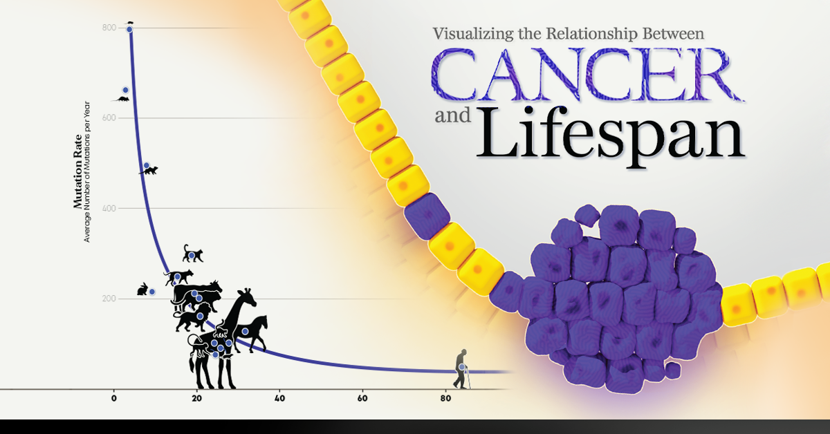 Photo of Décrire la relation entre le cancer et l’âge