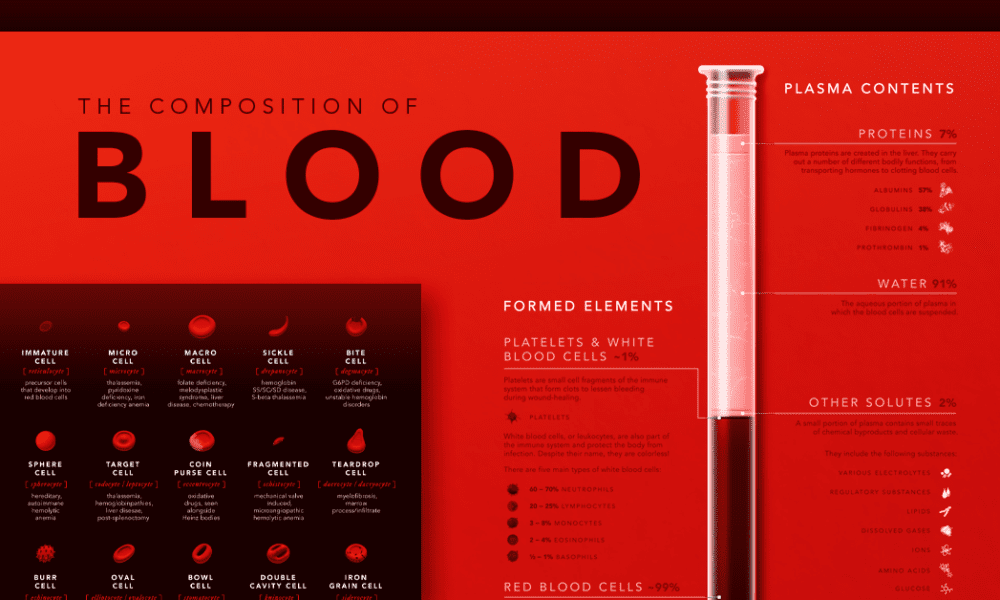 The top 10 companies for blood plasma products manufacturing